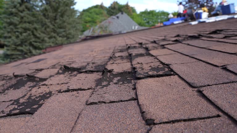 Best Roof Insulation Installation  in Mansfield, AR