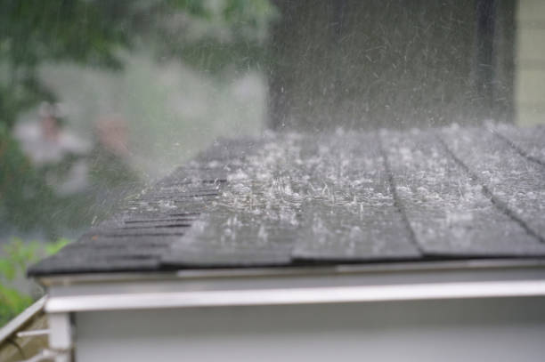 Best Cold Roofs  in Mansfield, AR
