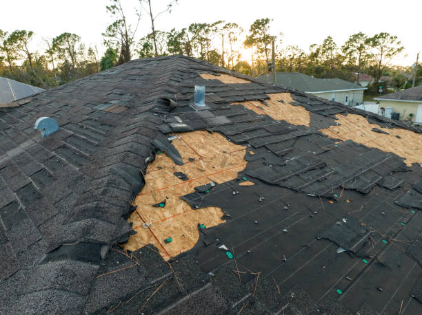 Best Skylight Installation and Repair  in Mansfield, AR