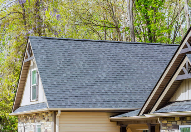 Best Solar Panel Roofing Installation  in Mansfield, AR